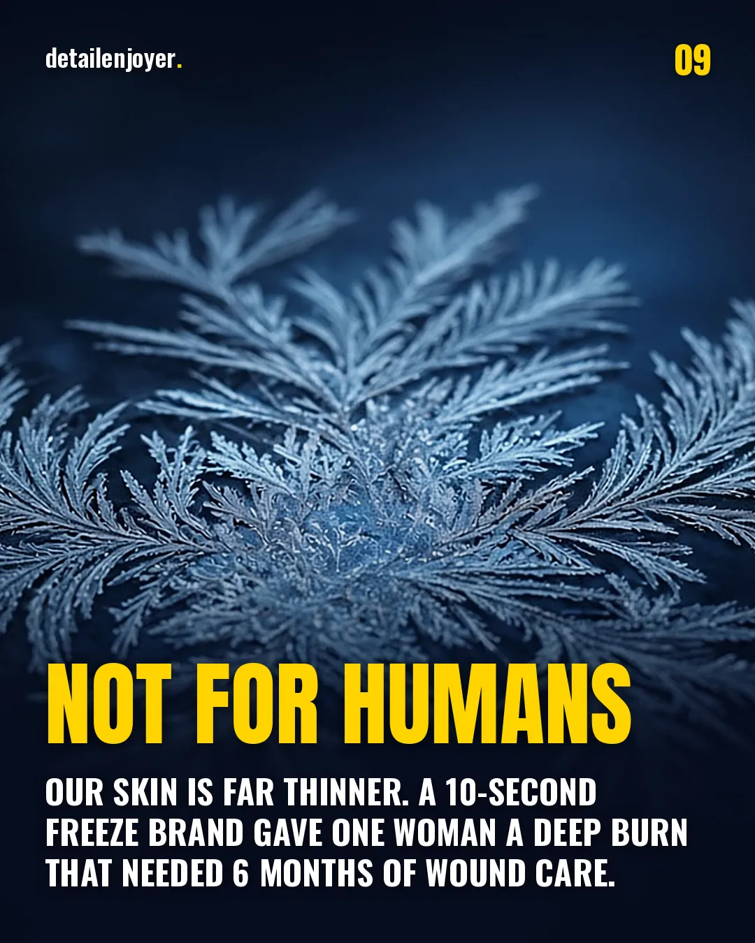 Not for humans Our skin is far thinner. A 10-second freeze brand gave one woman a deep burn that needed 6 months of wound care.