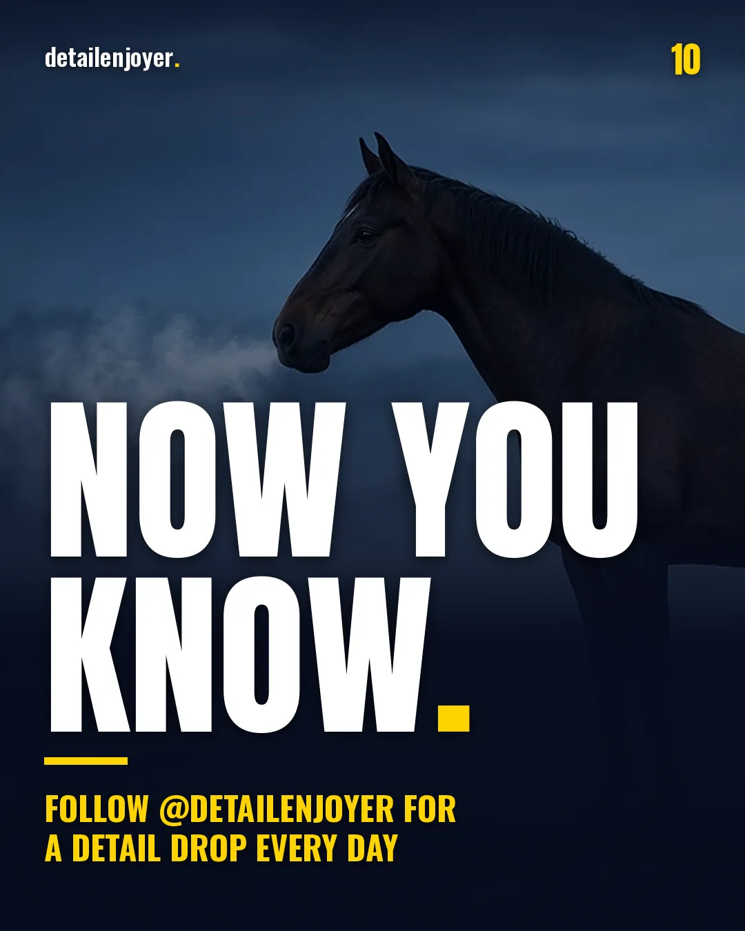 Now you know. Follow @detailenjoyer for a Detail Drop every day